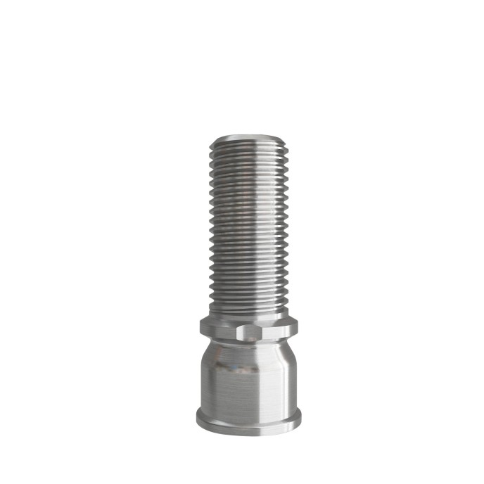 Temporary Cylinder compatible with Dentium™