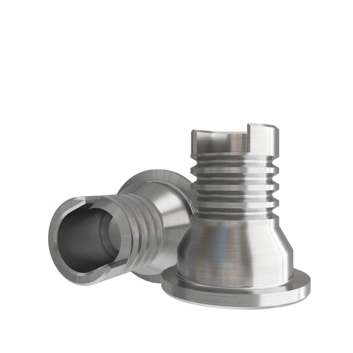 Temporary Cylinder compatible with Dentium™