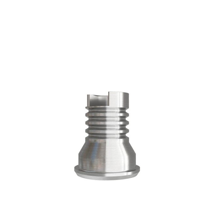 Temporary Cylinder compatible with Dentium™