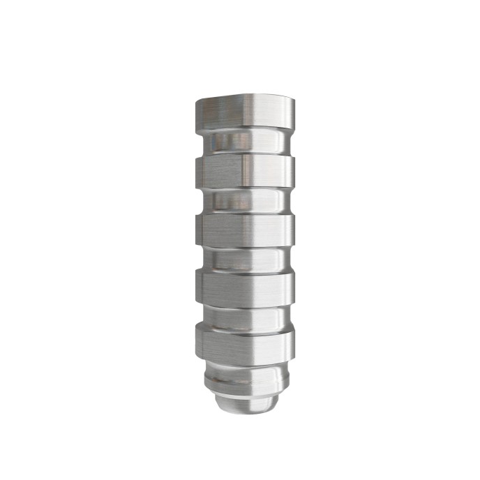 Temporary Abutment compatible with Bego™