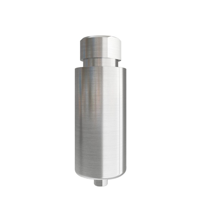 Pre-milled Ti-blanks compatible with Bego™