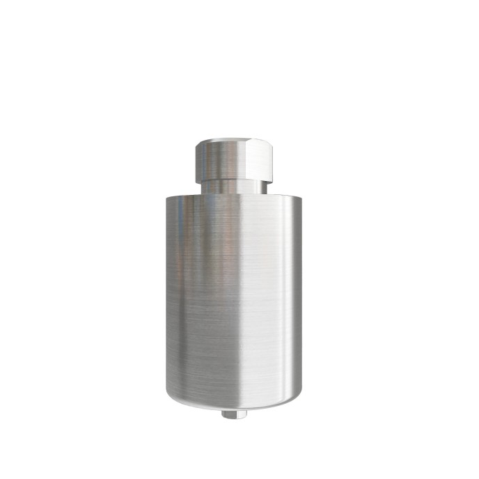 Pre-milled Ti-blanks compatible with Bego™