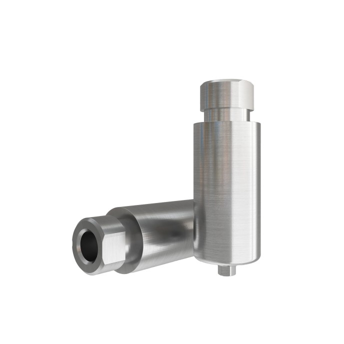 Pre-milled Ti-blanks compatible with Bego™