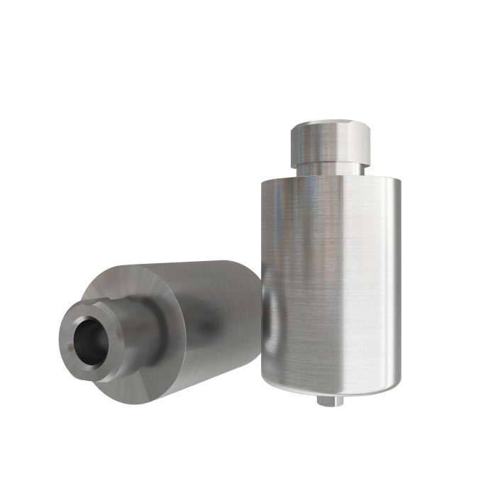 Pre-milled Ti-blanks compatible with Bego™