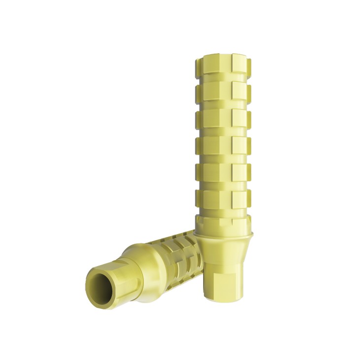 Temporary Abutment compatible with Straumann BL™