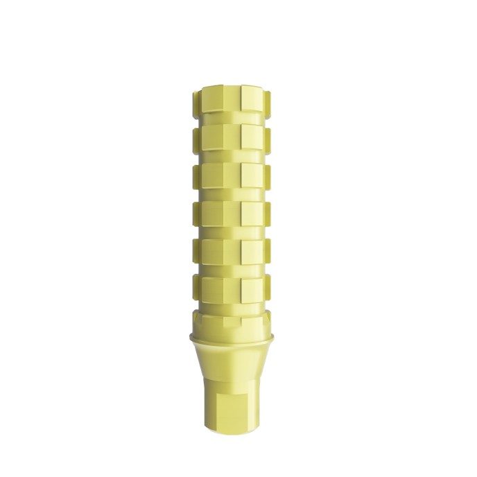 Temporary Abutment compatible with Straumann BL™