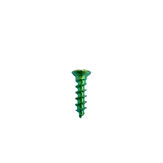 Bone Nail