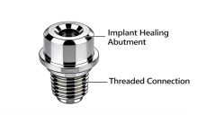 Healing Abutment: What It Looks Like, Types, Sizes & Functions