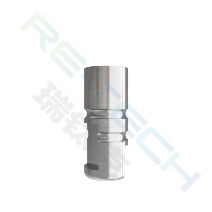 Digital Analog compatible with Bego™