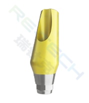 Angled Abutment compatible with Dentium™